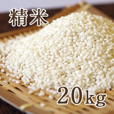 新潟産こがねもち 精米20kg