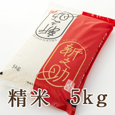 【定期購入】新潟産新之助 精米 5kg