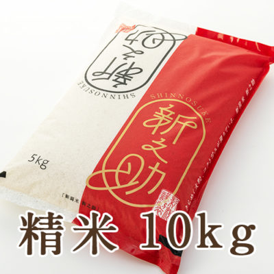 【定期購入】新潟産新之助 精米 10kg