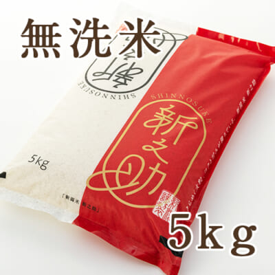 【定期購入】新潟産新之助 無洗米 5kg