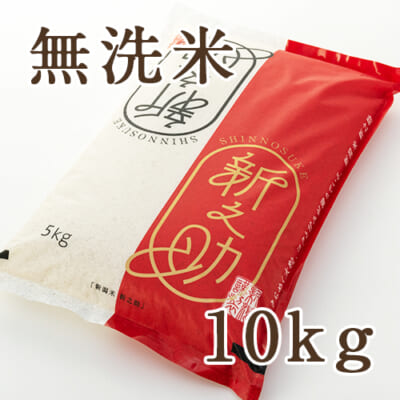 【定期購入】新潟産新之助 無洗米 10kg
