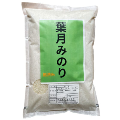 令和6年度米 新潟県産 葉月みのり（無洗米）