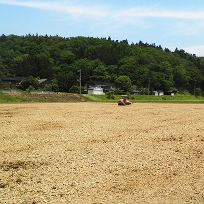 有機肥料で土壌を活性化
