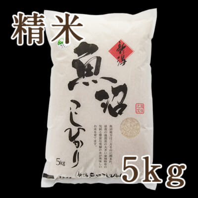 【定期購入】魚沼産 コシヒカリ 精米 5kg