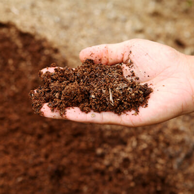 肥沃な土壌を生かす有機質肥料