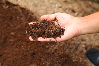 1. 肥沃な土壌を生かす有機質肥料