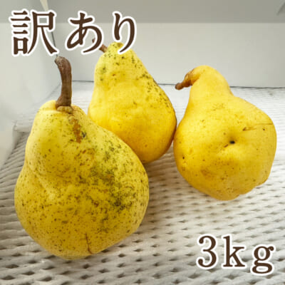 【訳あり】ル・レクチェ3kg