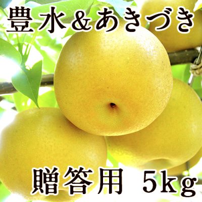 【贈答用】梨アソート 豊水＆あきづき 5kg