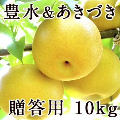 【贈答用】梨アソート 豊水＆あきづき 10kg