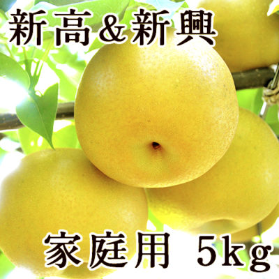 【家庭用】梨アソート 新高＆新興 5kg