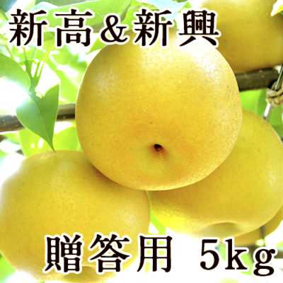 【贈答用】梨アソート 新高＆新興 5kg