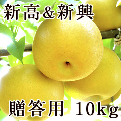 【贈答用】梨アソート 新高＆新興 10kg