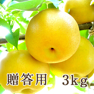 【贈答用】季節の梨詰め合わせ 3kg