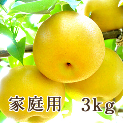 【家庭用】季節の梨詰め合わせ 3kg
