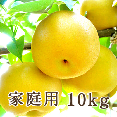 【家庭用】季節の梨詰め合わせ 10kg