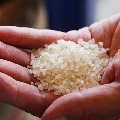 令和4年度米 新潟産コシヒカリ ギフトセット（特別栽培米）
