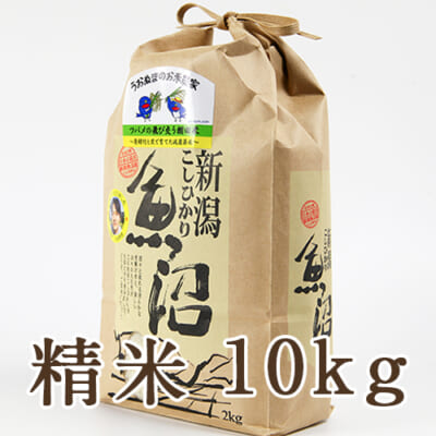 【定期購入】魚沼産コシヒカリ ツバメの飛び交う棚田米 精米10kg