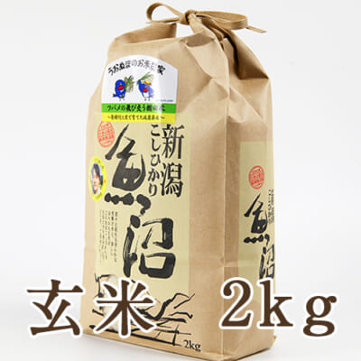【定期購入】魚沼産コシヒカリ ツバメの飛び交う棚田米 玄米2kg