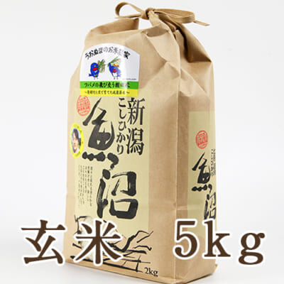 【定期購入】魚沼産コシヒカリ ツバメの飛び交う棚田米 玄米5kg