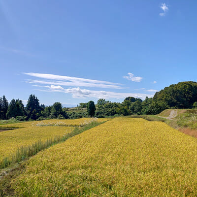 山からの綺麗な水を一番に使える環境