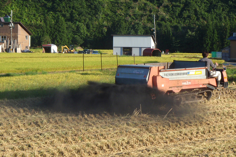 2.&ensp;独自農法！”竹の炭”で土質改善