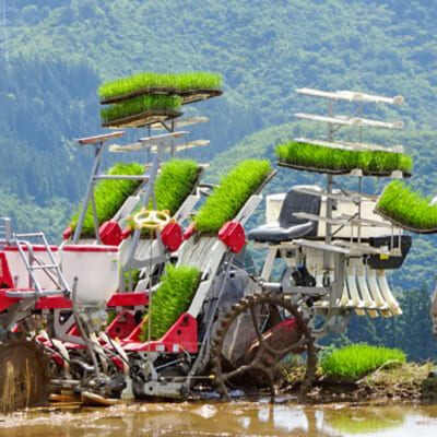 山からの綺麗な水を一番に使える環境