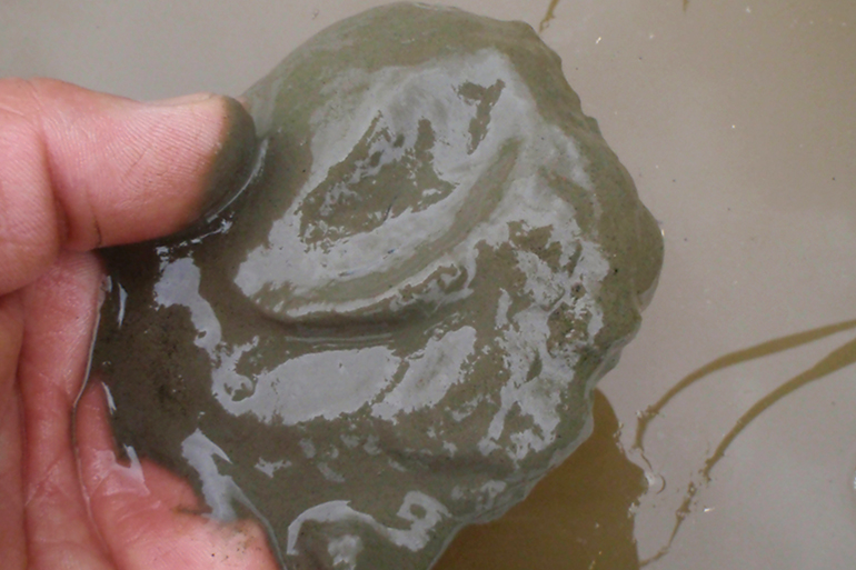 1. ミネラルたっぷりの雪解け水が育む肥沃な土壌