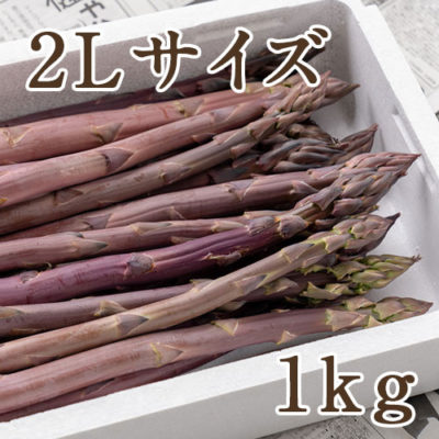 紫アスパラガス 2Lサイズ 1kg