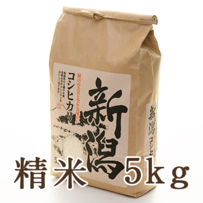 【定期購入】上越産 はさがけ米 コシヒカリ 精米 5kg