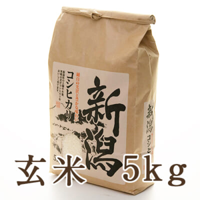 【定期購入】上越産 はさがけ米 コシヒカリ 玄米 5kg