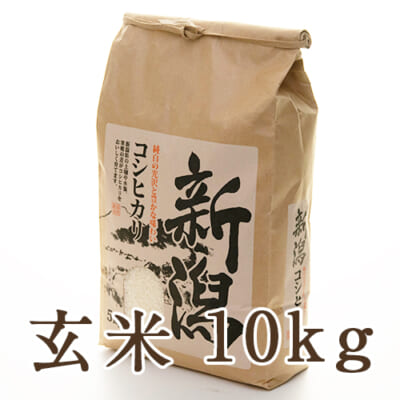 【定期購入】上越産 コシヒカリ 玄米 10kg
