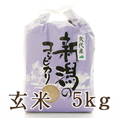 妙高矢代産コシヒカリ 玄米5kg