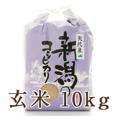妙高矢代産コシヒカリ 玄米10kg