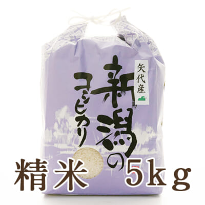 【定期購入】妙高矢代産コシヒカリ 精米5kg