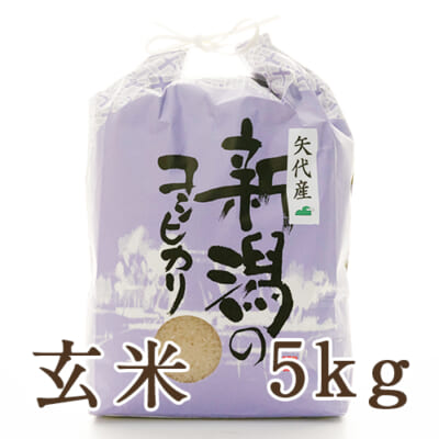 【定期購入】妙高矢代産コシヒカリ 玄米5kg