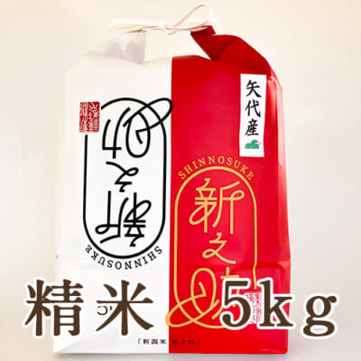 【定期購入】妙高矢代産 新之助 精米5kg