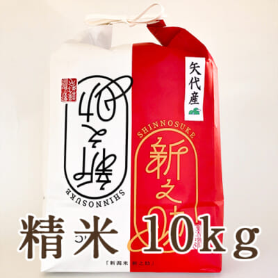 【定期購入】妙高矢代産 新之助 精米10kg