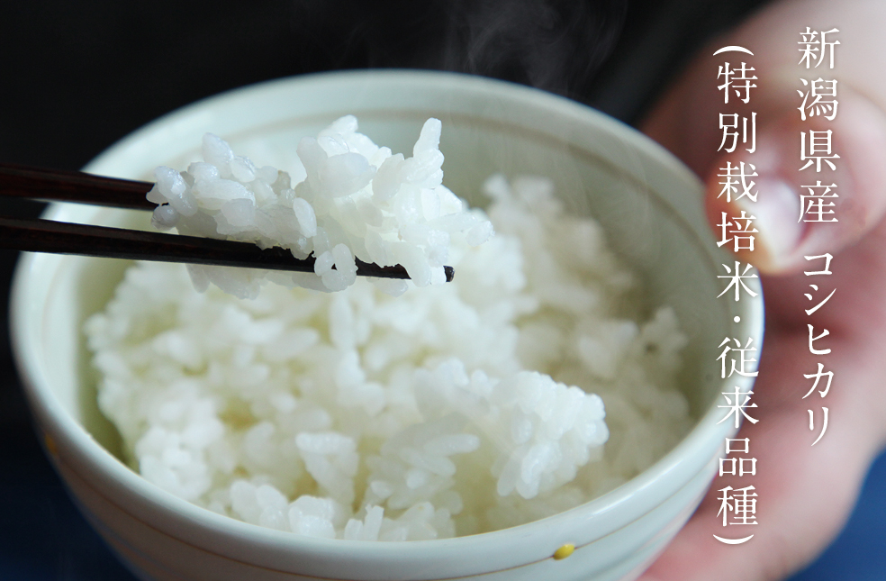 令和3年度産 新潟県産 コシヒカリ BG精米製法 無洗米 2kg 特別栽培米 新米 【後払い手数料無料】