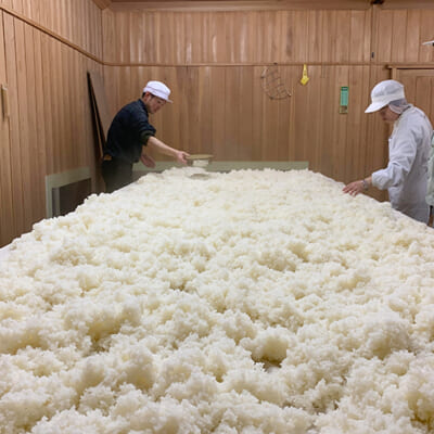 江戸時代から受け継がれる「技」が光る麹作り