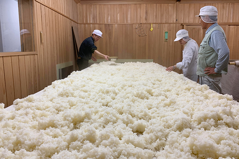 最高峰の酒米「山田錦」を堪能できる純米大吟醸